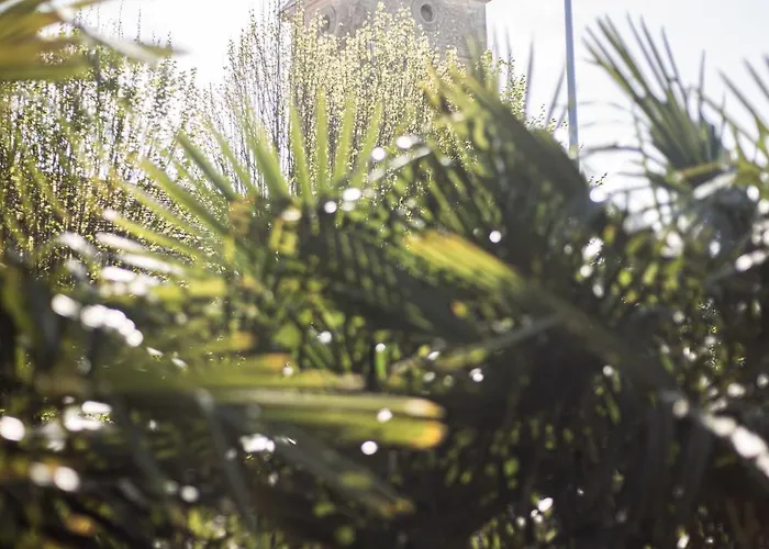 Le Logis De La Gabirotte Nieulle-sur-Seudre